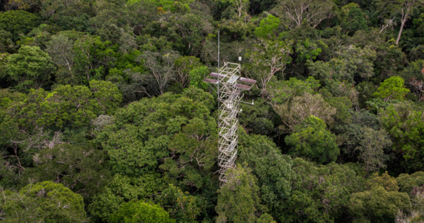 Amazon scientists model global warming’s effects on jungles 2023