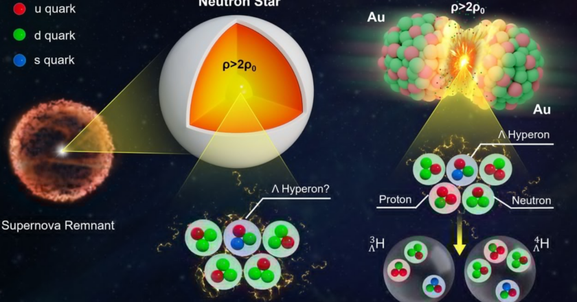 Flow of hypernuclei measured at RHIC 2023